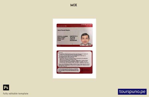 lista para imprimir plantilla de tarjeta de licencia de administrador aprobada p